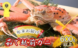 【ふるさと納税】茹で越前ガニ【年末お届け】食通もうなる本場の味をぜひ、ご堪能ください。約600g以上×1杯 越前がに 越前かに 越前カニ