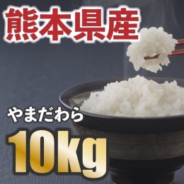 【ふるさと納税】＜W058＞熊本県産やまだわら　10kg 