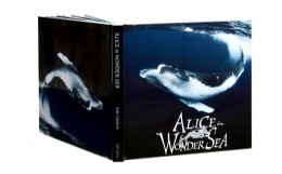 【ふるさと納税】水中写真家／高橋怜子　ALICE in WONDER SEA　フォトブック