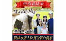 【ふるさと納税】【令和5年産米】特別栽培米 はえぬき 精米 2kg×4袋 山形県庄内産 F2Y-3130