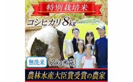 【ふるさと納税】【令和5年産米】《無洗米》特別栽培米 コシヒカリ 2kg×4袋 山形県庄内産 F2Y-3131