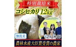 【ふるさと納税】【令和5年産米】《無洗米》特別栽培米 コシヒカリ 精米2kg×6袋 山形県庄内 F2Y-3140