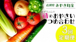 【ふるさと納税】CC003_【3回定期便】かずちゃんの朝採り新鮮野菜セット毎月、合計３回お届け みやき町産