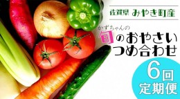 【ふるさと納税】CC004_【6回定期便】かずちゃんの朝採り新鮮野菜セット毎月　合計6回お届け みやき町産