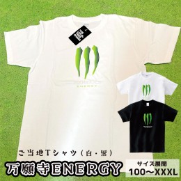 【ふるさと納税】万願寺ENERGY Tシャツ オリジナルステッカー入り 舞鶴 万願寺 tシャツ メンズ レディース キッズ 半袖 Printstar プリン