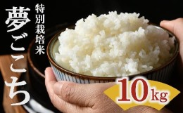 【ふるさと納税】夢ごこち（特別栽培米）10kg（新米予約9月以降発送）【1-271】