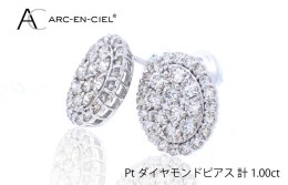 【ふるさと納税】ARC-EN-CIEL PTダイヤピアス（計 1.0ct） J022-1