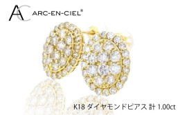 【ふるさと納税】アルカンシェル K18YGダイヤピアス（計 1.0ct） J023-1