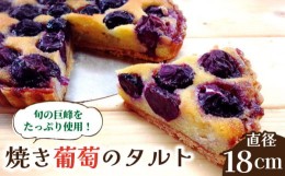 【ふるさと納税】【2024年7月下旬〜発送】【予約制のタルト専門店】焼き葡萄のタルト / 南島原市 / アトリエジジ [SAA001]