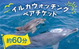 【ふるさと納税】南島原 イルカウォッチング ペア チケット / イルカ 観光 体験 南島原市 / 南島原イルカウォッチング [SAE001]