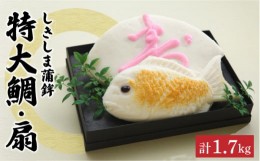 【ふるさと納税】しきしま蒲鉾 特大 鯛 ・ 扇セット / かまぼこ 南島原市 / しきしま蒲鉾 [SAR007]