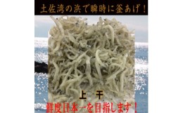 【ふるさと納税】ちりめんじゃこ(上干)　約300ｇ鮮度日本一を目指します！浜で瞬時に釜揚げ