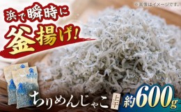 【ふるさと納税】ちりめんじゃこ(上干)　約600ｇ（約300ｇ×2袋）鮮度日本一を目指します！浜で瞬時に釜揚げ