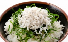 【ふるさと納税】釜揚げちりめん（しらす）約600ｇ（約300ｇ×2袋）鮮度日本一を目指します！浜で瞬時に釜出し