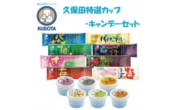 【ふるさと納税】久保田特選カップ・キャンデーセット | 久保田食品 アイス ギフト セット