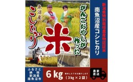 【ふるさと納税】令和５年産【特別栽培米】がんこおやじが作った南魚沼産コシヒカリ 白米６kg（３kg×２袋）