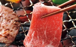 【ふるさと納税】鹿児島県産黒毛和牛 焼肉用（肩肉700g）