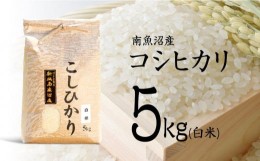 【ふるさと納税】【令和5年産】南魚沼産コシヒカリ（白米）【5kg】【米 お米 こしひかり 南魚沼 米 白米 こめ 新潟 米 5キロ 】