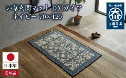 【ふるさと納税】い草玄関マット　DXガイア　ネイビー　70×120