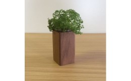 【ふるさと納税】【かわいい四角い木製ポット】キャンドル・植物どちらでも使えます＜ウォールナット材　オイルフィニッシュ＞ 木製 小物