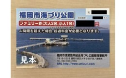 【ふるさと納税】★完全予約制★福岡市海づり公園ファミリー券