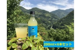 【ふるさと納税】土佐山ゆずスカッシュM　6本セット