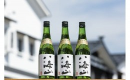 【ふるさと納税】越後の名酒「八海山」純米大吟醸【四合瓶720ml×3本】