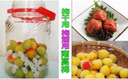 【ふるさと納税】【梅干・梅酒用】（3L−2Kg）熟南高梅＜2024年6月中旬〜7月7日発送予定＞