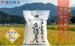 【ふるさと納税】令和５年産 南魚沼産コシヒカリ 無洗米５ｋｇ 【５割減農薬栽培米】 城内農産