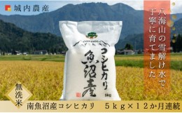 【ふるさと納税】令和５年産 【お米定期便/全１２回】南魚沼産コシヒカリ　無洗米５ｋｇ＜５割減農薬栽培米＞　城内農産