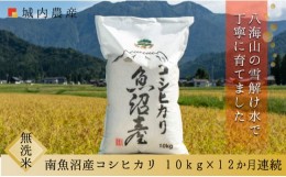 【ふるさと納税】【令和6年産新米予約】【お米定期便/全１２回】南魚沼産コシヒカリ　無洗米１０ｋｇ＜５割減農薬栽培米＞　城内農産