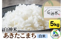 【ふるさと納税】G014【令和5年産】米 あきたこまち 秋田県産 5kg