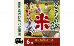 【ふるさと納税】令和５年産【6か月定期便】がんこおやじが作った南魚沼産コシヒカリ白米６kg（３kg×２袋）