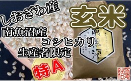 【ふるさと納税】【定期便】玄米 南魚沼しおざわ産コシヒカリ10Kg×9ヶ月