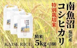 【ふるさと納税】【新米予約９／１５発送スタート】令和６年度産 南魚沼産塩沢コシヒカリ（特別栽培米８割減農薬）精米５ｋｇ×３個