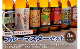【ふるさと納税】福岡市発クラフトビール　ブルーマスター　8本セット