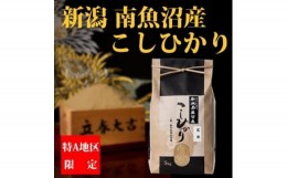 【ふるさと納税】【令和6年産 新米】【厳選】南魚沼産コシヒカリ（玄米5kg×全6回）