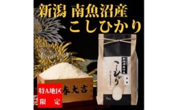 【ふるさと納税】【令和6年産 新米】【厳選】南魚沼産コシヒカリ（白米5kg×全6回）