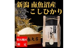 【ふるさと納税】【令和6年産 新米】【厳選】南魚沼産コシヒカリ（無洗米5kg×全12回）