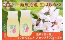 【ふるさと納税】【頒布会】さいき養蜂園　　天然ピュア蜂蜜　アカシア３００ｇ×２本　6か月連続お届け