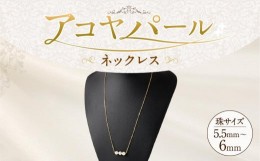 【ふるさと納税】アコヤパールネックレス 5.5mm~6mmシルバー 14金メッキ