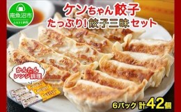 【ふるさと納税】ES149 新潟県 南魚沼市 チルド手焼き餃子・ジャンボ餃子 食べ比べ セット 各3パック 計42個 ケンちゃん餃子 冷蔵 中華 