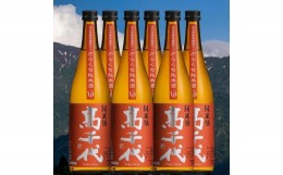 【ふるさと納税】【南魚沼の地酒】高千代 大辛口純米酒 +19 美山錦 720ml×6本