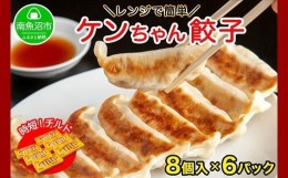 【ふるさと納税】ES147 新潟県 南魚沼市 チルド手焼き餃子 8個入り × 6パック 計48個 ケンちゃん餃子 冷蔵 中華 点心 惣菜 ビール お取