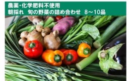 【ふるさと納税】【栽培期間中農薬・化学肥料不使用】土佐の太陽をいっぱいに浴びた旬の野菜セット「小」