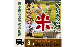 【ふるさと納税】令和５年産【12か月定期便】がんこおやじが作った南魚沼産コシヒカリ白米３kg