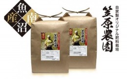 【ふるさと納税】【令和6年産新米予約／令和6年9月上旬より順次発送】南魚沼産 笠原農園米 コシヒカリ 玄米 10kg （玄米5kg×2袋）