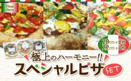 【ふるさと納税】極上のハーモニー!!スペシャルピザセット