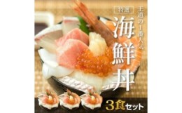 【ふるさと納税】福岡市グルメ糸島海鮮堂の8種の海鮮丼3食セット