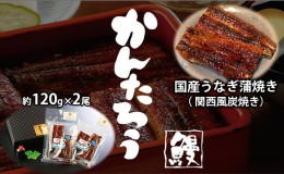 【ふるさと納税】国産うなぎ蒲焼き（ 関西風炭焼き）約120g×2尾【配送不可：離島】